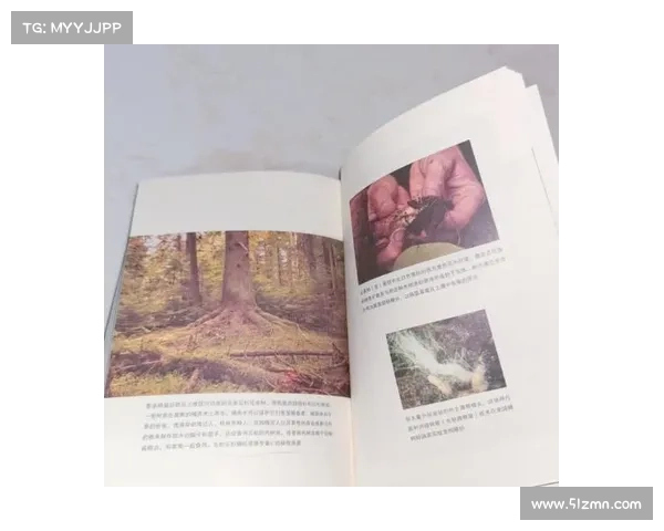 阿布罗斯:探索这位历史人物的传奇经历与深远影响 阿布罗斯:探索这位历史人物的传奇经历与深远影响